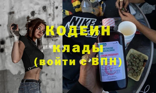 индика Слюдянка