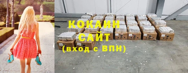 индика Слюдянка