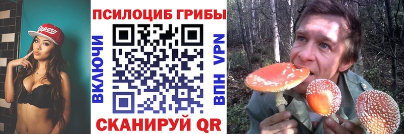 Галлюциногенные грибы Cubensis  кракен сайт  Мариинск 